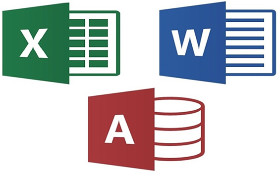 word-excel-access